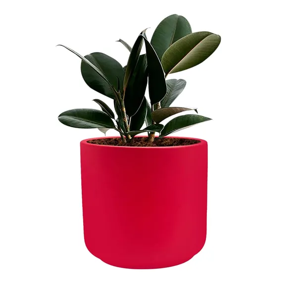 Zeno_Red_Ceramic_Pots_For_Indoor_Plants,_Planters,_Flower,_Pots,_Gamla,_Outdoor,_Balcony,_Home,_Garden,_Office_Decor,_Succulent_Pot(H_-_9_X_D_-_9_Cm)