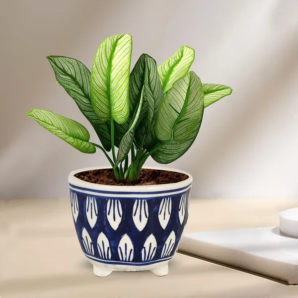 Sharon_Ceramic_Pots_For_Indoor_Plants,_Planters,_Flower,_Gamla,Outdoor,Balcony,Home,Round,Garden,_Office_Decor,Succulent(H_-_8.5_X_D_-_10.5_Cm)(Any_Color_May_Come)