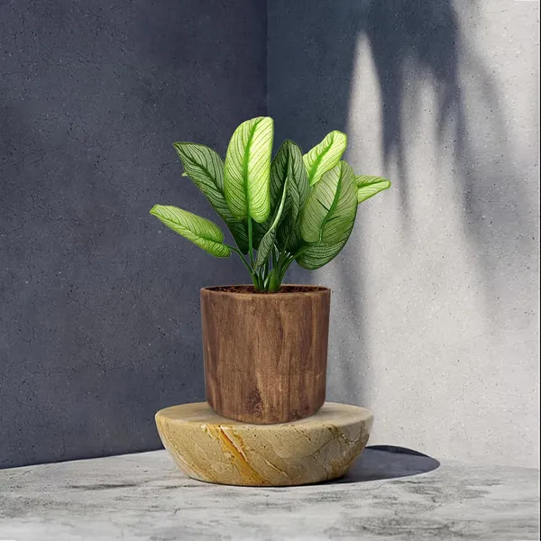 Sara_4_Inch_Antique_Ceramic_Pots_For_Indoor_Plants,_Planters,_Flower,_Pots,_Gamla,Outdoor,Balcony,Home,Round,Garden,_Office_Decor,Succulent(H_-_10.5_X_D_-_12_Cm)