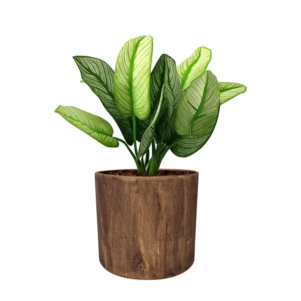Sara_4_Inch_Antique_Ceramic_Pots_For_Indoor_Plants,_Planters,_Flower,_Pots,_Gamla,Outdoor,Balcony,Home,Round,Garden,_Office_Decor,Succulent(H_-_10.5_X_D_-_12_Cm)