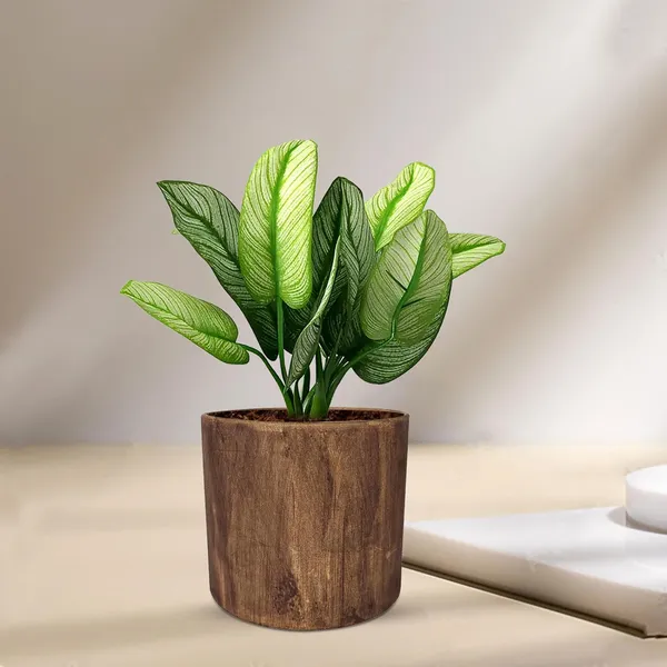 Sara_4_Inch_Antique_Ceramic_Pots_For_Indoor_Plants,_Planters,_Flower,_Pots,_Gamla,Outdoor,Balcony,Home,Round,Garden,_Office_Decor,Succulent(H_-_10.5_X_D_-_12_Cm)