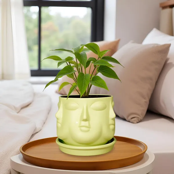 Vivan_Mint_With_Plate_Mint_R4_Ceramic_Pots_For_Indoor_Plants,Planters,Flower,Gamla,Outdoor(Pot-L-10_X_H-10_Cm,Plate-L-13_X_H-2_Cm)