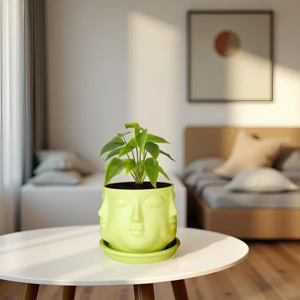 Vivan_Mint_With_Plate_Mint_R4_Ceramic_Pots_For_Indoor_Plants,Planters,Flower,Gamla,Outdoor(Pot-L-10_X_H-10_Cm,Plate-L-13_X_H-2_Cm)