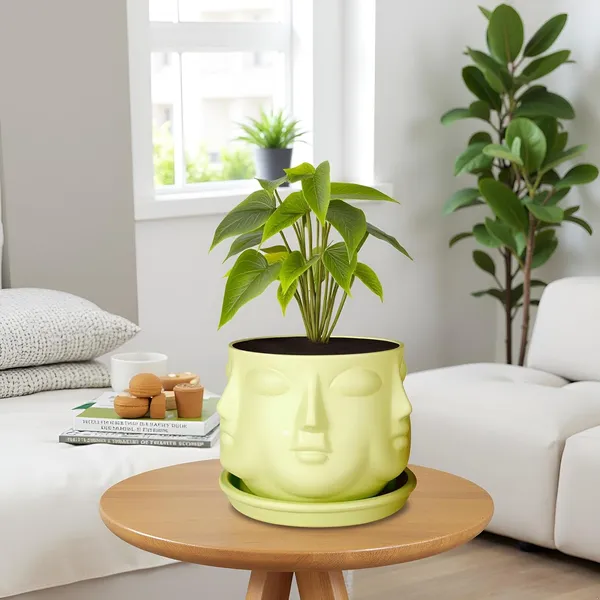 Vivan_Mint_With_Plate_Mint_R4_Ceramic_Pots_For_Indoor_Plants,Planters,Flower,Gamla,Outdoor(Pot-L-10_X_H-10_Cm,Plate-L-13_X_H-2_Cm)