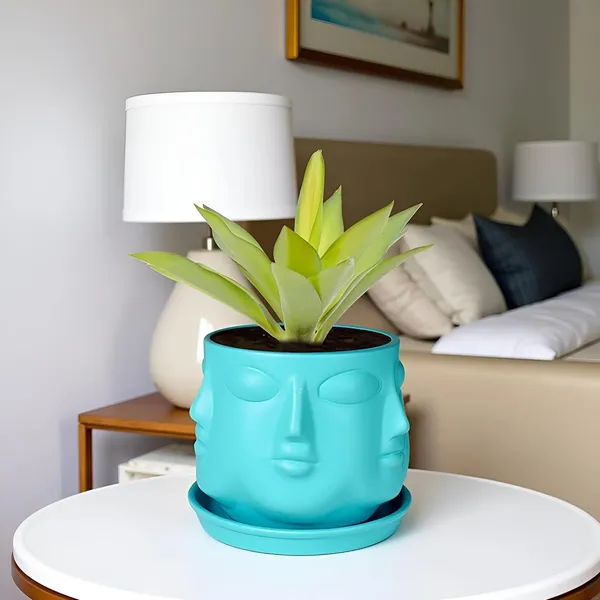 Vivan_Aqua_With_Plate_Aqua_R4_Ceramic_Pots_For_Indoor_Plants,Planters,Flower,Gamla,Outdoor(Pot-L-10_X_H-10_Cm,Plate-L-13_X_H-2_Cm)