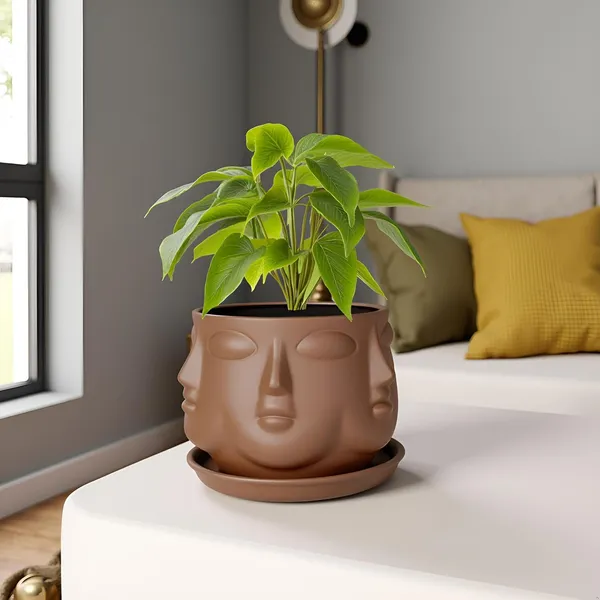 Vivan_Truffle_With_Plate_Truffle_R4_Ceramic_Pots_For_Indoor_Plants,Planters,Flower,Gamla,Outdoor(Pot-L-10_X_H-10_Cm,Plate-L-13_X_H-2_Cm)