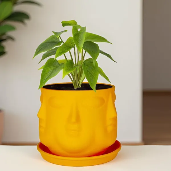 Vivan_Lily_With_Plate_Lily_R4_Ceramic_Pots_For_Indoor_Plants,Planters,Flower,Gamla,Outdoor(Pot-L-10_X_H-10_Cm,Plate-L-13_X_H-2_Cm)