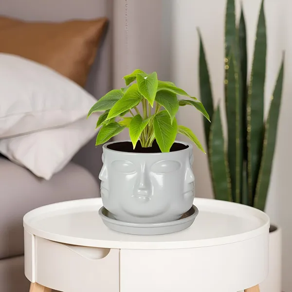 Vivan_White_With_Plate_White_R4_Ceramic_Pots_For_Indoor_Plants,Planters,Flower,Gamla,Outdoor(Pot-L-10_X_H-10_Cm,Plate-L-13_X_H-2_Cm)