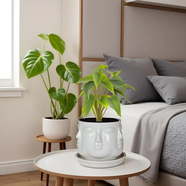 Vivan_White_With_Plate_White_R4_Ceramic_Pots_For_Indoor_Plants,Planters,Flower,Gamla,Outdoor(Pot-L-10_X_H-10_Cm,Plate-L-13_X_H-2_Cm)