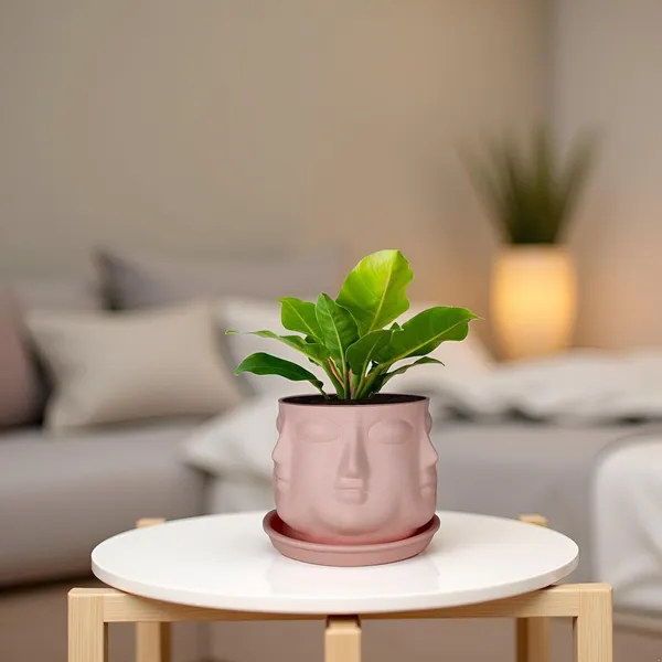 Vivan_Pink_With_Plate_Pink_R4_Ceramic_Pots_For_Indoor_Plants,Planters,Flower,Gamla,Outdoor(Pot-L-10_X_H-10_Cm,Plate-L-13_X_H-2_Cm)
