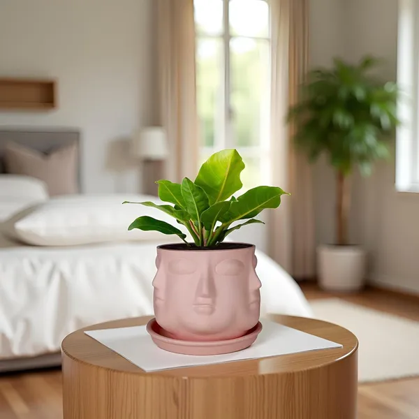 Vivan_Pink_With_Plate_Pink_R4_Ceramic_Pots_For_Indoor_Plants,Planters,Flower,Gamla,Outdoor(Pot-L-10_X_H-10_Cm,Plate-L-13_X_H-2_Cm)