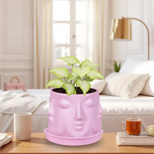 Vivan_Purple_With_Plate_Purple_R4_Ceramic_Pots_For_Indoor_Plants,Planters,Flower,Gamla,Outdoor(Pot-L-10_X_H-10_Cm,Plate-L-13_X_H-2_Cm)