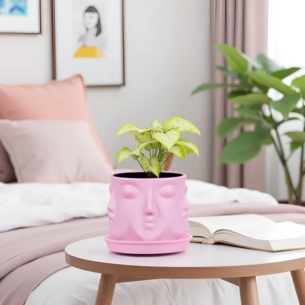 Vivan_Purple_With_Plate_Purple_R4_Ceramic_Pots_For_Indoor_Plants,Planters,Flower,Gamla,Outdoor(Pot-L-10_X_H-10_Cm,Plate-L-13_X_H-2_Cm)