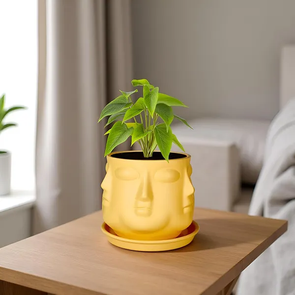Vivan_Saffron_With_Plate_Saffron_R4_Ceramic_Pots_For_Indoor_Plants,Planters,Flower,Gamla,Outdoor(Pot-L-10_X_H-10_Cm,Plate-L-13_X_H-2_Cm)