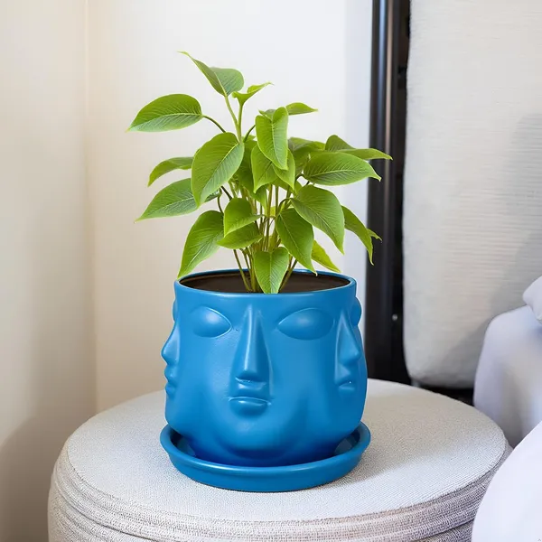 Vivan_Blue_With_Plate_Blue_R4_Ceramic_Pots_For_Indoor_Plants,Planters,Flower,Gamla,Outdoor(Pot-L-10_X_H-10_Cm,Plate-L-13_X_H-2_Cm)