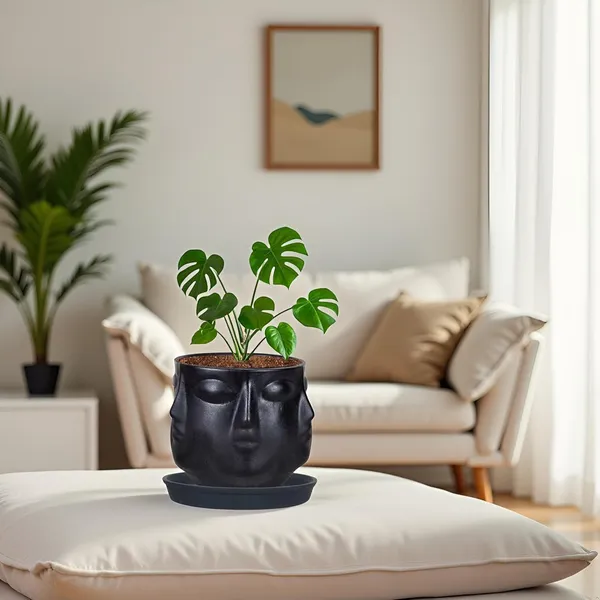 Vivan_Black_With_Plate_Black_R4_Ceramic_Pots_For_Indoor_Plants,Planters,Flower,Gamla,Outdoor(Pot-L-10_X_H-10_Cm,Plate-L-13_X_H-2_Cm)