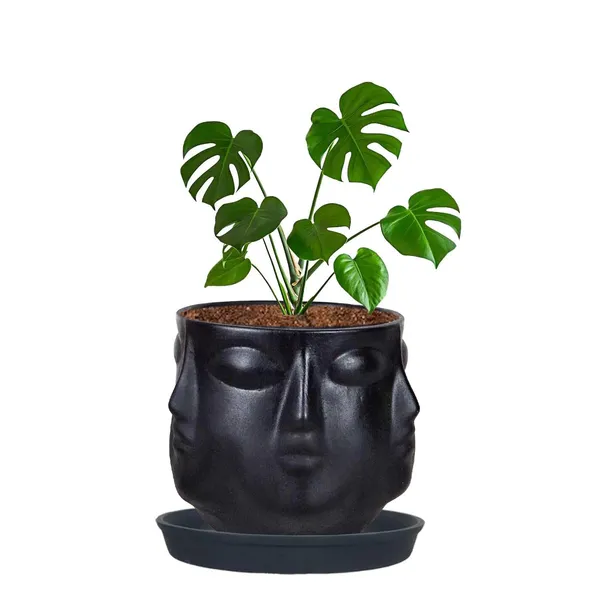 Vivan_Black_With_Plate_Black_R4_Ceramic_Pots_For_Indoor_Plants,Planters,Flower,Gamla,Outdoor(Pot-L-10_X_H-10_Cm,Plate-L-13_X_H-2_Cm)