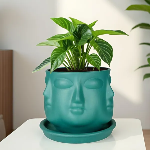 Vivan_Deep_Jungle_With_Plate_Deep_Jungle_R4_Ceramic_Pots_For_Indoor_Plants,Planters,Flower,Gamla,Outdoor(Pot-L-10_X_H-10_Cm,Plate-L-13_X_H-2_Cm)