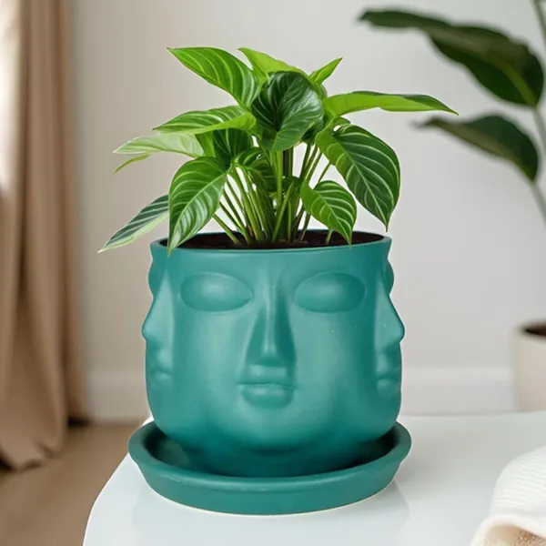 Vivan_Deep_Jungle_With_Plate_Deep_Jungle_R4_Ceramic_Pots_For_Indoor_Plants,Planters,Flower,Gamla,Outdoor(Pot-L-10_X_H-10_Cm,Plate-L-13_X_H-2_Cm)