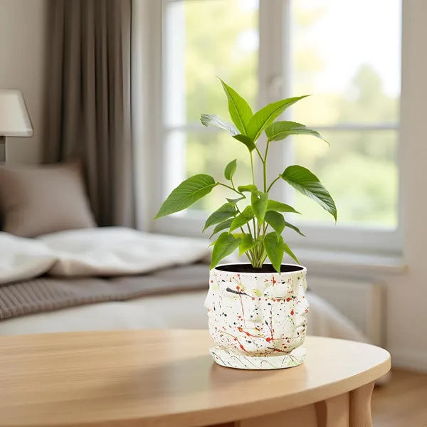 Vivan_Multi_With_Plate_Multi_R4_Ceramic_Pots_For_Indoor_Plants,Planters,Flower,Gamla,Outdoor(Pot-L-10_X_H-10_Cm,Plate-L-13_X_H-2_Cm)
