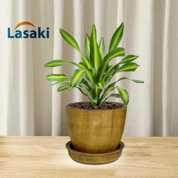 Core_With_Plate_Antique_Ceramic_Pots_For_Indoor_Plants,Planters,Flower,Gamla,Outdoor(Pot-D-9.5_X_H-8.5Cm,Plate-D-9.5_Xh-1.5_Cm)