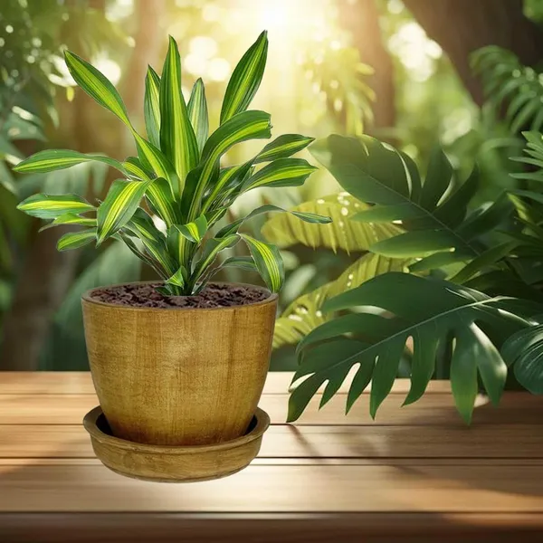 Core_With_Plate_Antique_Ceramic_Pots_For_Indoor_Plants,Planters,Flower,Gamla,Outdoor(Pot-D-9.5_X_H-8.5Cm,Plate-D-9.5_Xh-1.5_Cm)