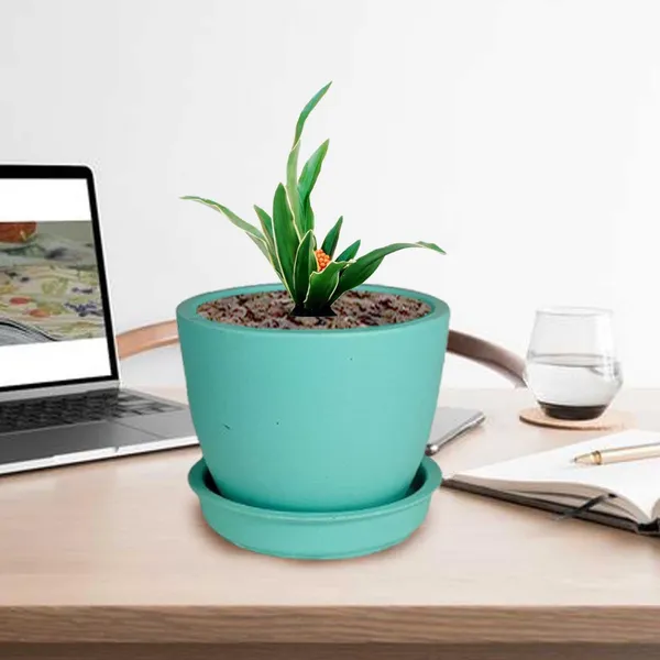 Core_With_Plate_Aqua_Ceramic_Pots_For_Indoor_Plants,Planters,Flower,Gamla,Outdoor(Pot-D-9.5_X_H-8.5Cm,Plate-D-9.5_Xh-1.5_Cm)