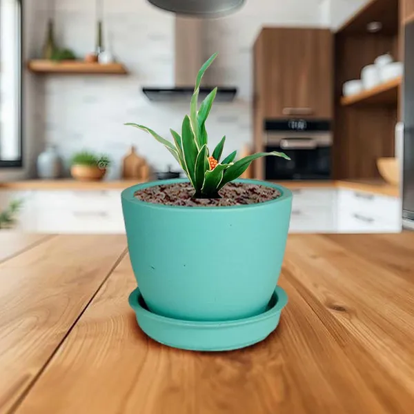 Core_With_Plate_Aqua_Ceramic_Pots_For_Indoor_Plants,Planters,Flower,Gamla,Outdoor(Pot-D-9.5_X_H-8.5Cm,Plate-D-9.5_Xh-1.5_Cm)