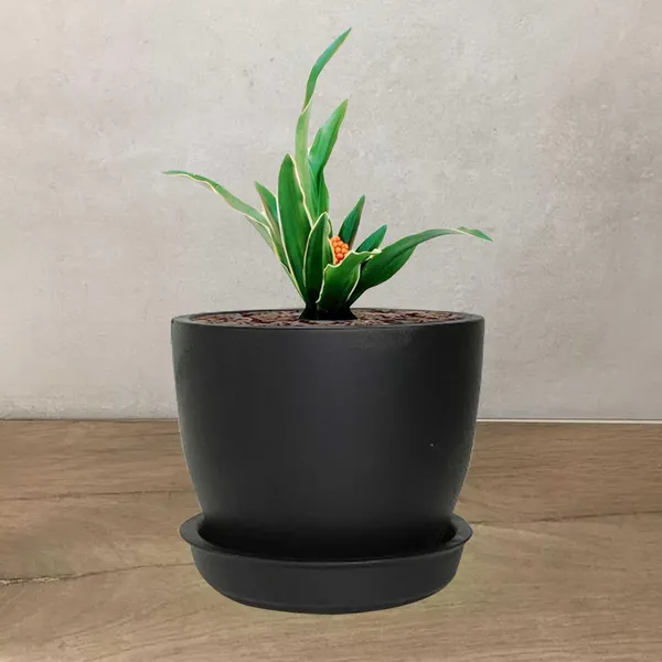 Core_With_Plate_Black_Ceramic_Pots_For_Indoor_Plants,Planters,Flower,Gamla,Outdoor(Pot-D-9.5_X_H-8.5Cm,Plate-D-9.5_Xh-1.5_Cm)