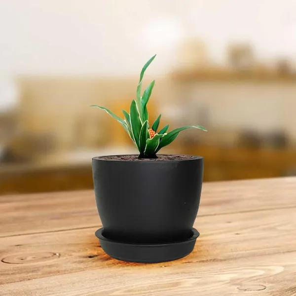 Core_With_Plate_Black_Ceramic_Pots_For_Indoor_Plants,Planters,Flower,Gamla,Outdoor(Pot-D-9.5_X_H-8.5Cm,Plate-D-9.5_Xh-1.5_Cm)