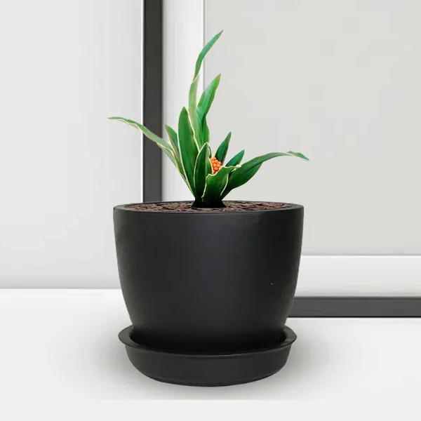 Core_With_Plate_Black_Ceramic_Pots_For_Indoor_Plants,Planters,Flower,Gamla,Outdoor(Pot-D-9.5_X_H-8.5Cm,Plate-D-9.5_Xh-1.5_Cm)