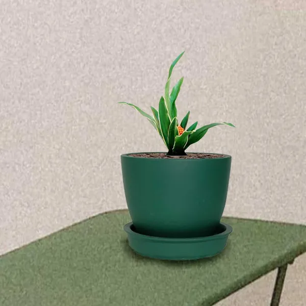 Core_With_Plate_Deep_Jungle_Ceramic_Pots_For_Indoor_Plants,Planters,Flower,Gamla,Outdoor(Pot-D-9.5_X_H-8.5Cm,Plate-D-9.5_Xh-1.5_Cm)
