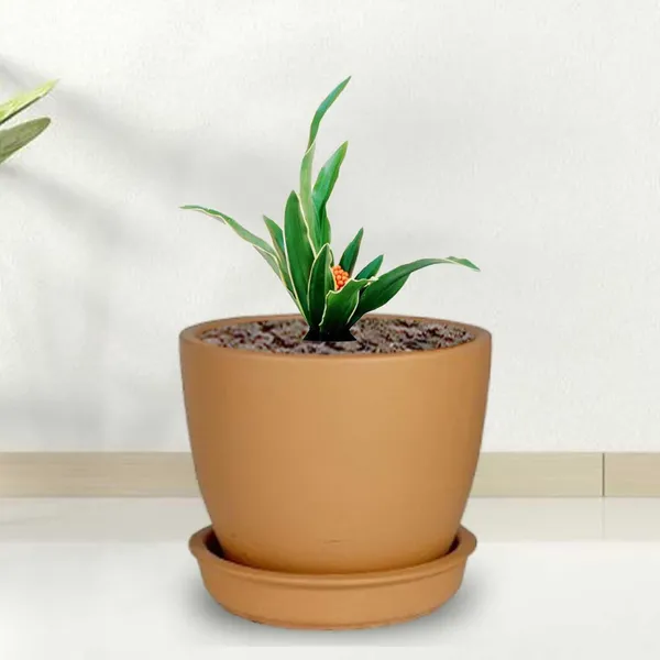 Core_With_Plate_Ginger_Ceramic_Pots_For_Indoor_Plants,Planters,Flower,Gamla,Outdoor(Pot-D-9.5_X_H-8.5Cm,Plate-D-9.5_Xh-1.5_Cm)