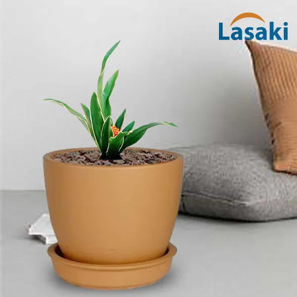 Core_With_Plate_Ginger_Ceramic_Pots_For_Indoor_Plants,Planters,Flower,Gamla,Outdoor(Pot-D-9.5_X_H-8.5Cm,Plate-D-9.5_Xh-1.5_Cm)