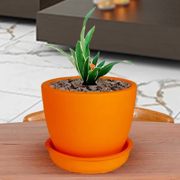 Core_With_Plate_Lily_Ceramic_Pots_For_Indoor_Plants,Planters,Flower,Gamla,Outdoor(Pot-D-9.5_X_H-8.5Cm,Plate-D-9.5_Xh-1.5_Cm)