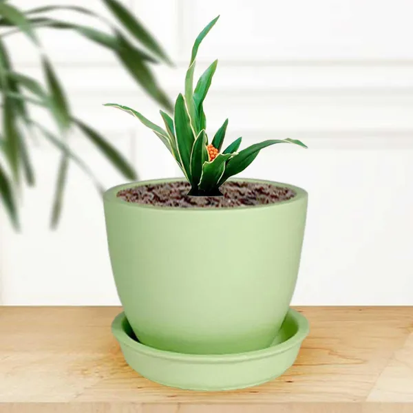 Core_With_Plate_Mint_Ceramic_Pots_For_Indoor_Plants,Planters,Flower,Gamla,Outdoor(Pot-D-9.5_X_H-8.5Cm,Plate-D-9.5_Xh-1.5_Cm)