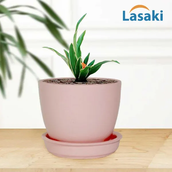 Core_With_Plate_Pink_Ceramic_Pots_For_Indoor_Plants,Planters,Flower,Gamla,Outdoor(Pot-D-9.5_X_H-8.5Cm,Plate-D-9.5_Xh-1.5_Cm)