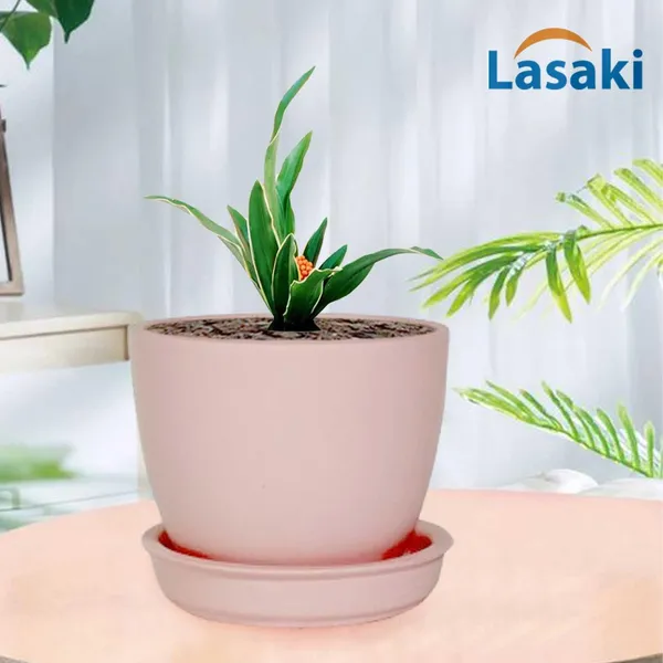Core_With_Plate_Pink_Ceramic_Pots_For_Indoor_Plants,Planters,Flower,Gamla,Outdoor(Pot-D-9.5_X_H-8.5Cm,Plate-D-9.5_Xh-1.5_Cm)