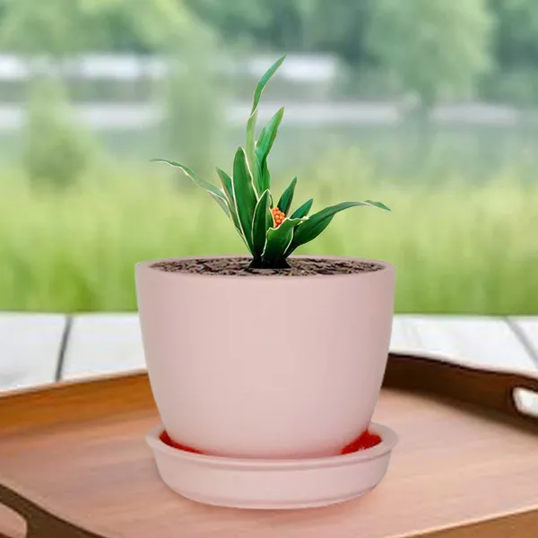 Core_With_Plate_Pink_Ceramic_Pots_For_Indoor_Plants,Planters,Flower,Gamla,Outdoor(Pot-D-9.5_X_H-8.5Cm,Plate-D-9.5_Xh-1.5_Cm)