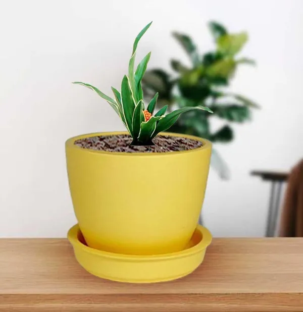 Core_With_Plate_Saffron_Ceramic_Pots_For_Indoor_Plants,Planters,Flower,Gamla,Outdoor(Pot-D-9.5_X_H-8.5Cm,Plate-D-9.5_Xh-1.5_Cm)