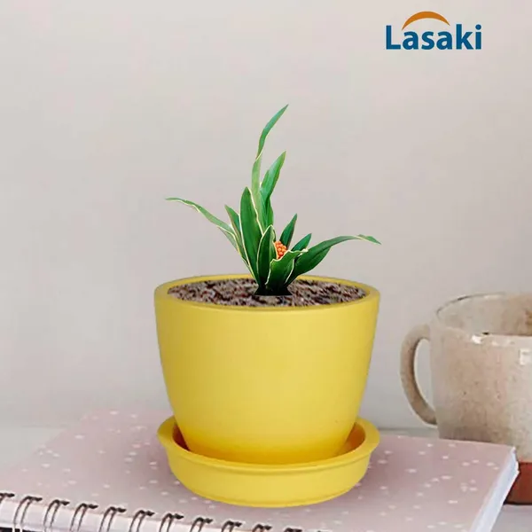 Core_With_Plate_Saffron_Ceramic_Pots_For_Indoor_Plants,Planters,Flower,Gamla,Outdoor(Pot-D-9.5_X_H-8.5Cm,Plate-D-9.5_Xh-1.5_Cm)