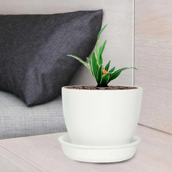 Core_With_Plate_White_Ceramic_Pots_For_Indoor_Plants,Planters,Flower,Gamla,Outdoor(Pot-D-9.5_X_H-8.5Cm,Plate-D-9.5_Xh-1.5_Cm)