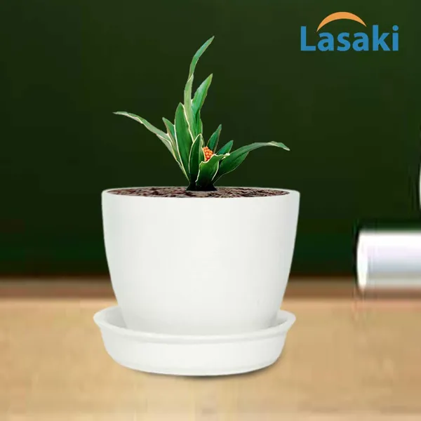 Core_With_Plate_White_Ceramic_Pots_For_Indoor_Plants,Planters,Flower,Gamla,Outdoor(Pot-D-9.5_X_H-8.5Cm,Plate-D-9.5_Xh-1.5_Cm)