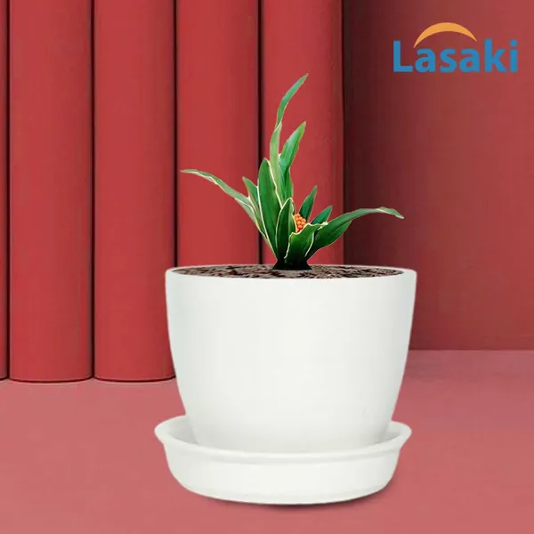 Core_With_Plate_White_Ceramic_Pots_For_Indoor_Plants,Planters,Flower,Gamla,Outdoor(Pot-D-9.5_X_H-8.5Cm,Plate-D-9.5_Xh-1.5_Cm)