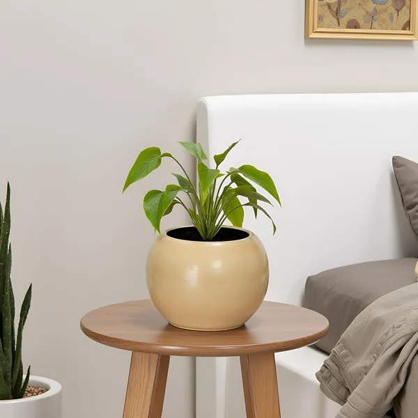 Peblo_Small_Brown__Ceramic_Pots_For_Indoor_Plants,_Planters,Gamla,Outdoor,Balcony,Home,Round,Garden,_Office_Decor,Succulent(H_-_7_X_D_-_9_Cm)