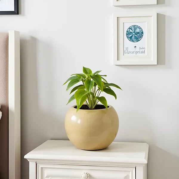 Peblo_Small_Brown__Ceramic_Pots_For_Indoor_Plants,_Planters,Gamla,Outdoor,Balcony,Home,Round,Garden,_Office_Decor,Succulent(H_-_7_X_D_-_9_Cm)