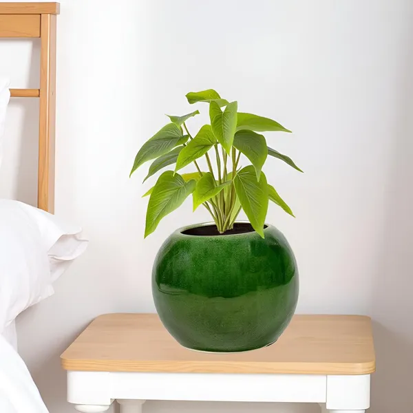 Peblo_Small_Green_Ht5_Ceramic_Pots_For_Indoor_Plants,_Planters,Gamla,Outdoor,Balcony,Home,Round,Garden,_Office_Decor,Succulent(H_-_7_X_D_-_9_Cm)