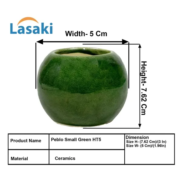 Peblo_Small_Green_Ht5_Ceramic_Pots_For_Indoor_Plants,_Planters,Gamla,Outdoor,Balcony,Home,Round,Garden,_Office_Decor,Succulent(H_-_7_X_D_-_9_Cm)
