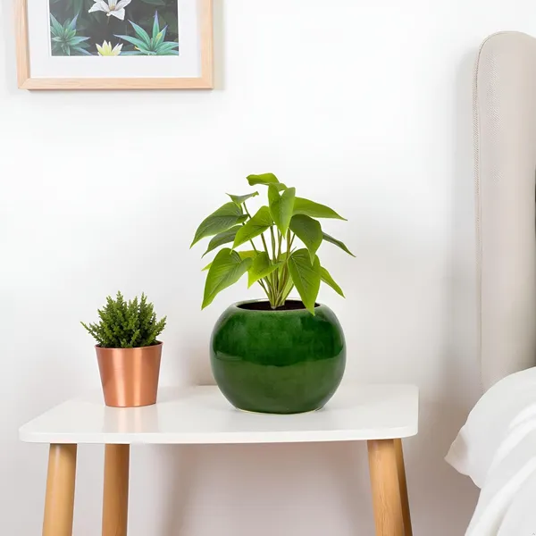 Peblo_Small_Green_Ht5_Ceramic_Pots_For_Indoor_Plants,_Planters,Gamla,Outdoor,Balcony,Home,Round,Garden,_Office_Decor,Succulent(H_-_7_X_D_-_9_Cm)