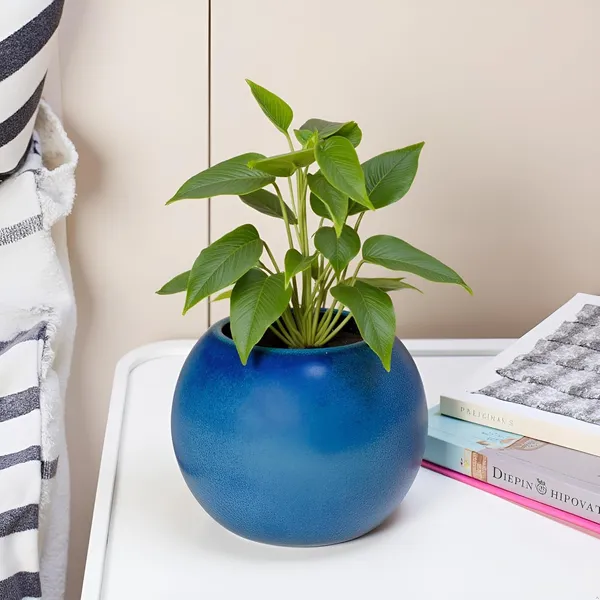 Peblo_Small_Blue_0_Ceramic_Pots_For_Indoor_Plants,_Planters,Gamla,Outdoor,Balcony,Home,Round,Garden,_Office_Decor,Succulent(H_-_7_X_D_-_9_Cm)
